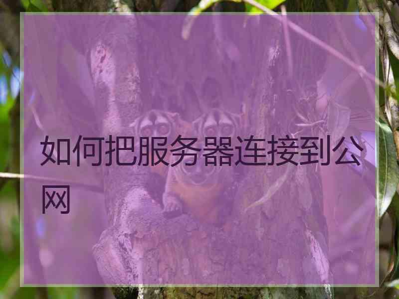 如何把服务器连接到公网