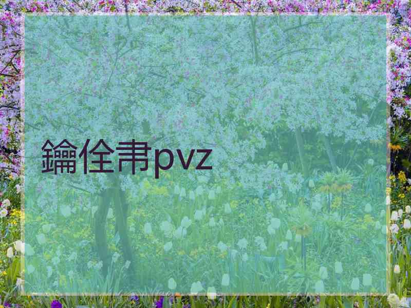 鑰佺帇pvz