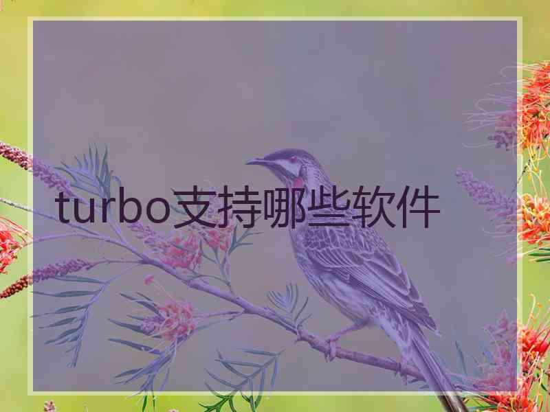 turbo支持哪些软件