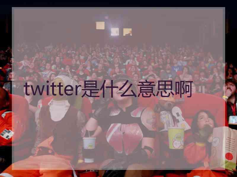 twitter是什么意思啊