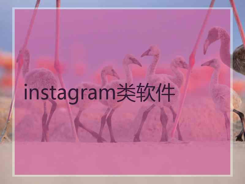 instagram类软件