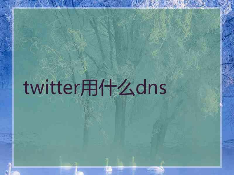 twitter用什么dns