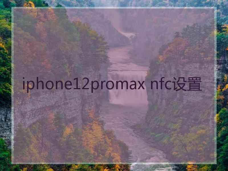 iphone12promax nfc设置