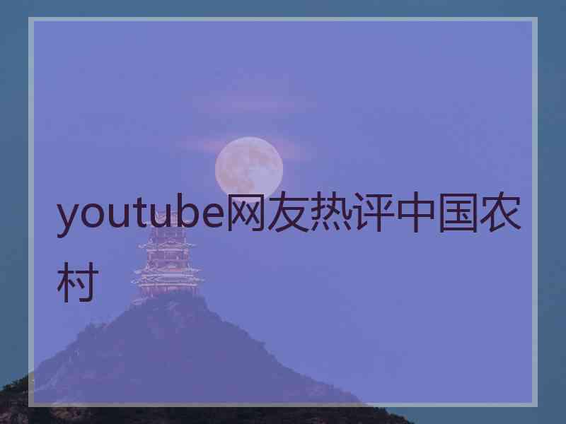 youtube网友热评中国农村