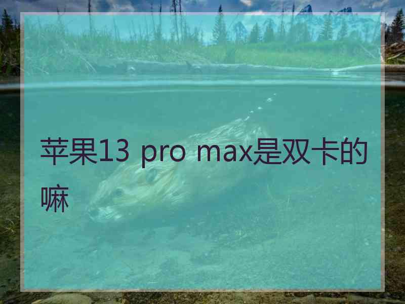 苹果13 pro max是双卡的嘛