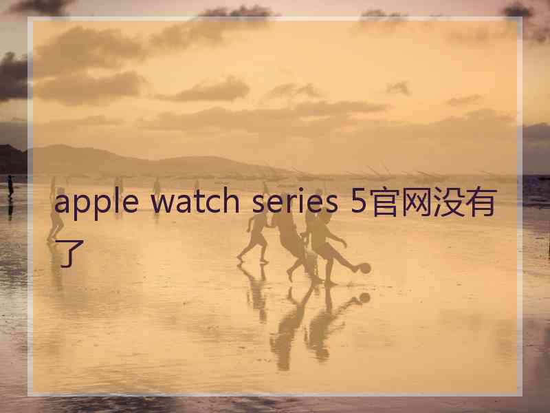 apple watch series 5官网没有了