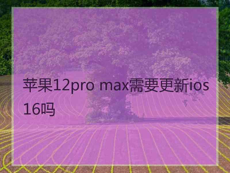 苹果12pro max需要更新ios16吗