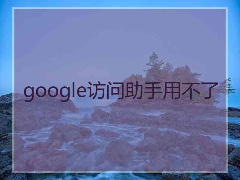 google访问助手用不了