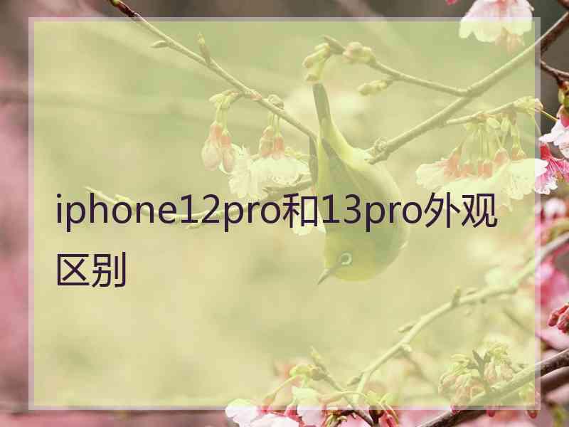 iphone12pro和13pro外观区别