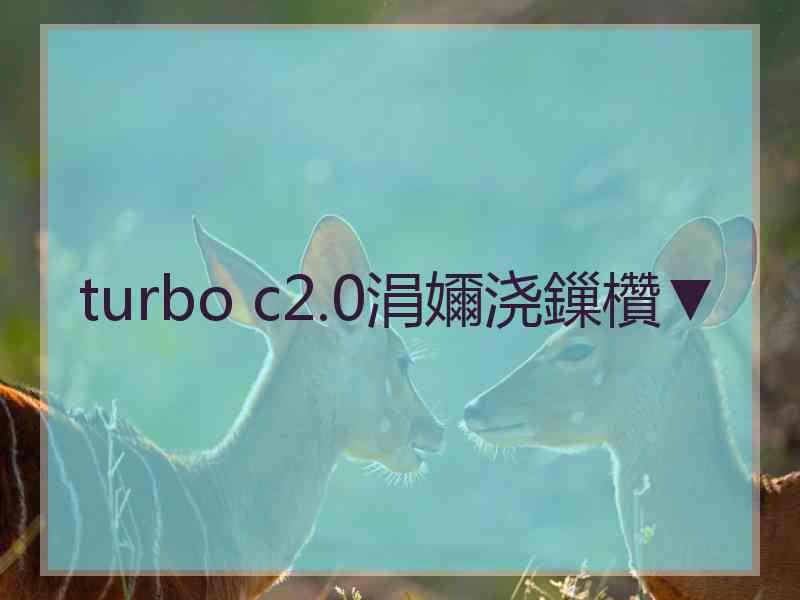 turbo c2.0涓嬭浇鏁欑▼