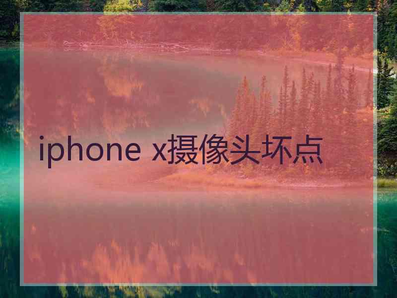 iphone x摄像头坏点