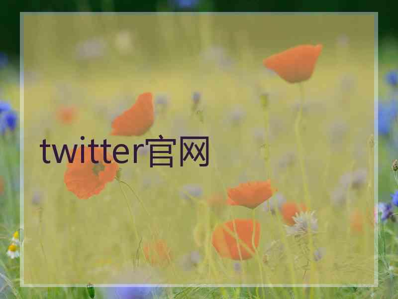 twitter官网