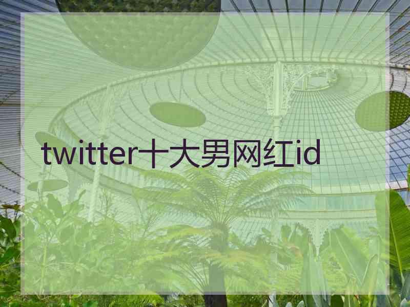 twitter十大男网红id