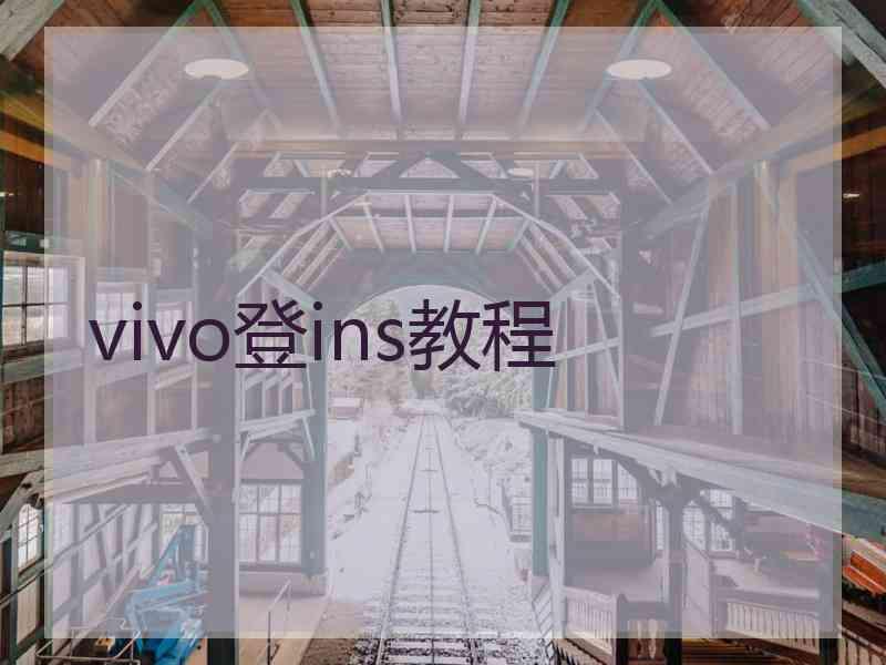 vivo登ins教程