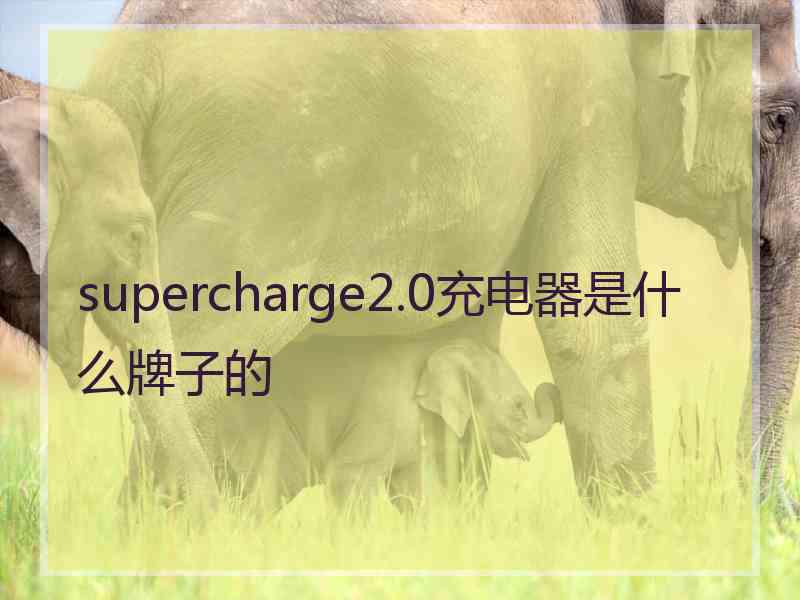 supercharge2.0充电器是什么牌子的