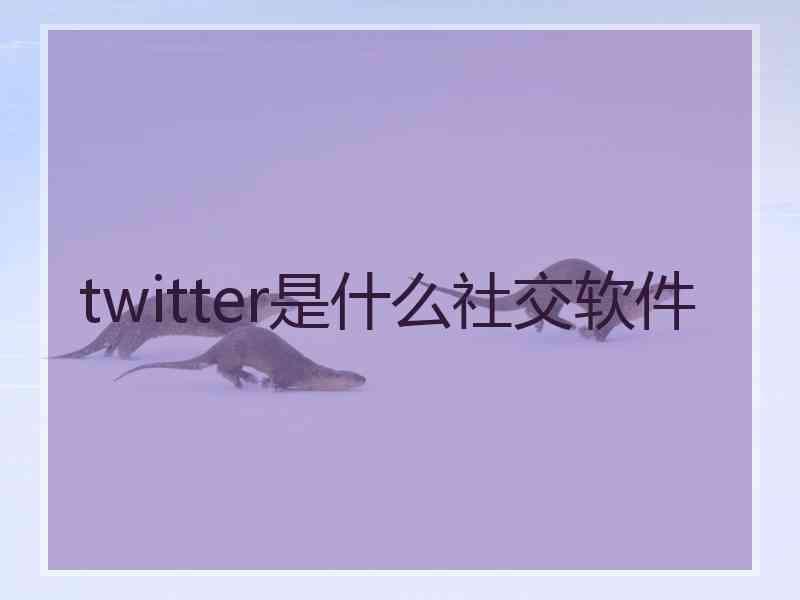 twitter是什么社交软件