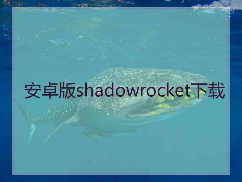 安卓版shadowrocket下载