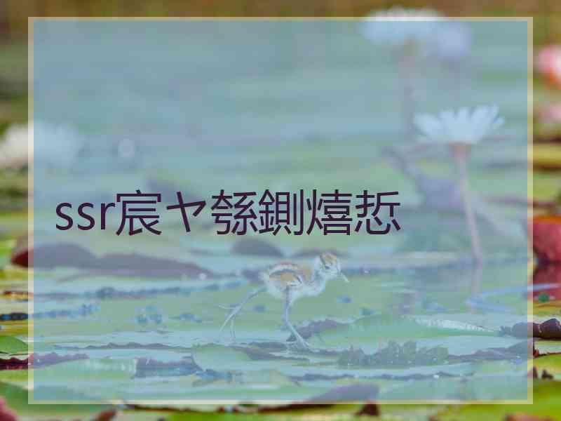 ssr宸ヤ綔鍘熺悊