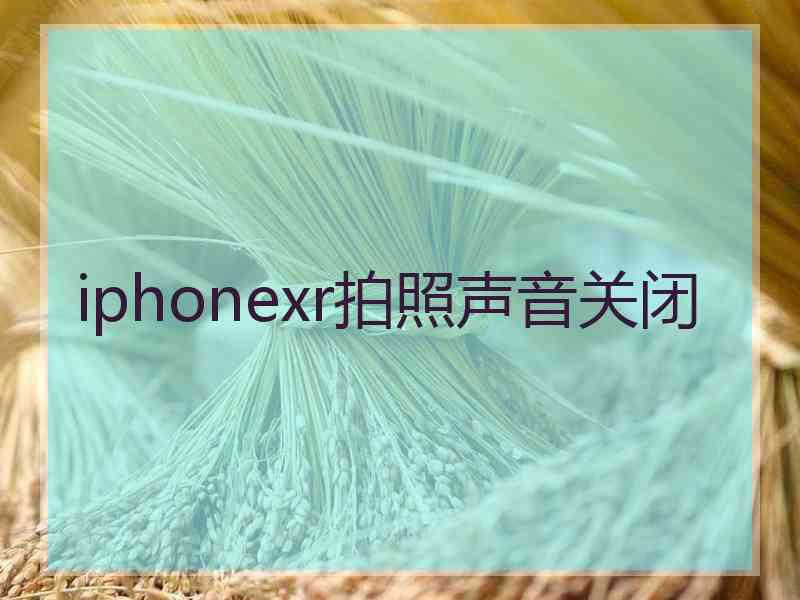 iphonexr拍照声音关闭