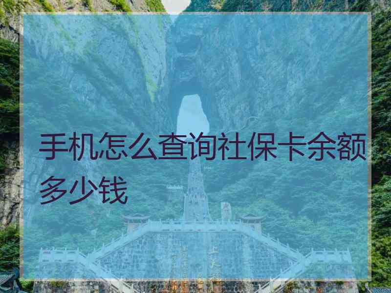 手机怎么查询社保卡余额多少钱