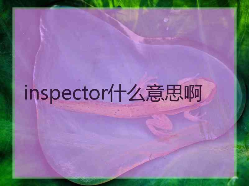 inspector什么意思啊