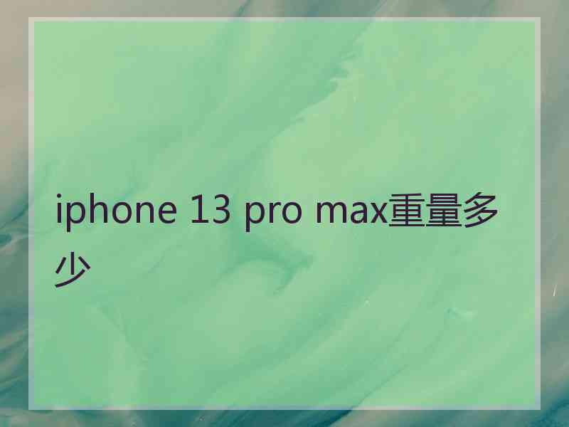 iphone 13 pro max重量多少