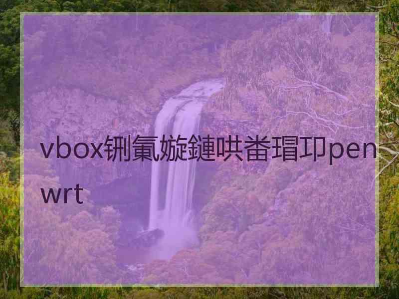 vbox铏氭嫙鏈哄畨瑁卭penwrt
