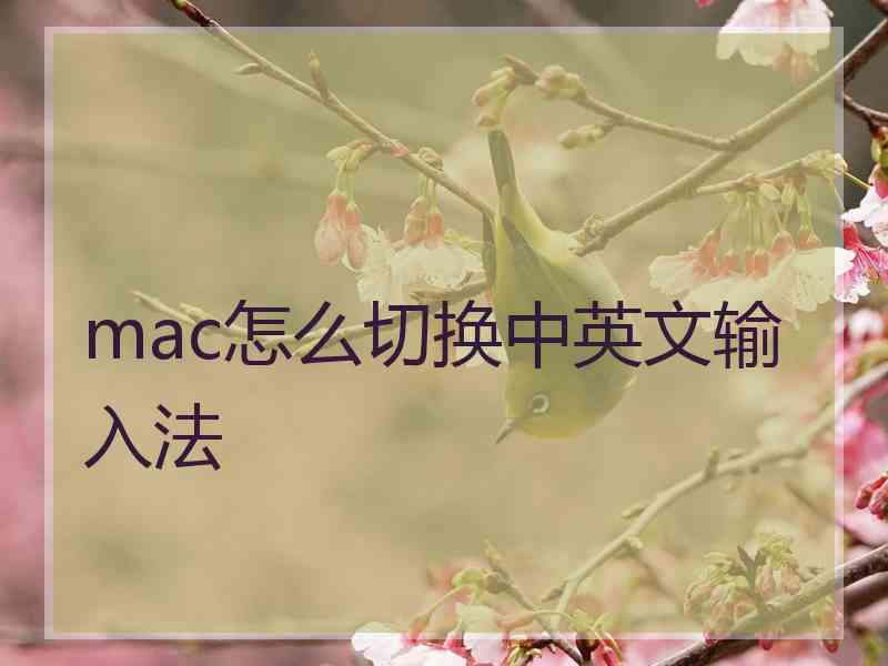 mac怎么切换中英文输入法