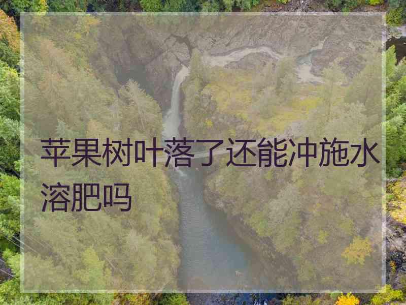 苹果树叶落了还能冲施水溶肥吗