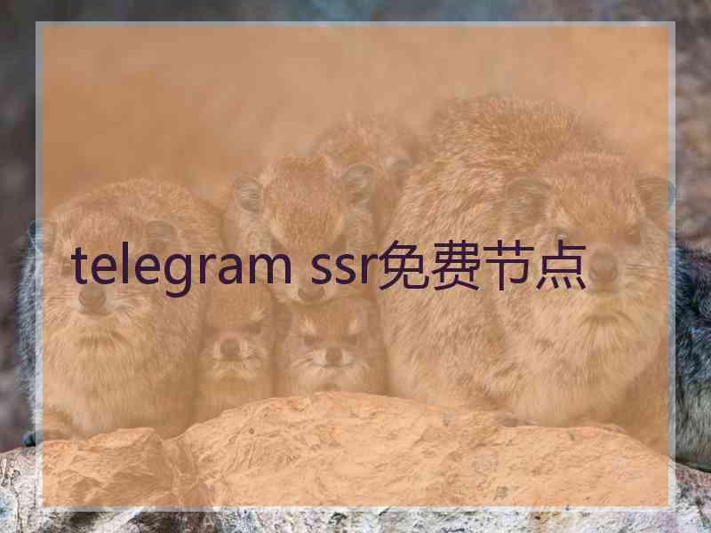 telegram ssr免费节点