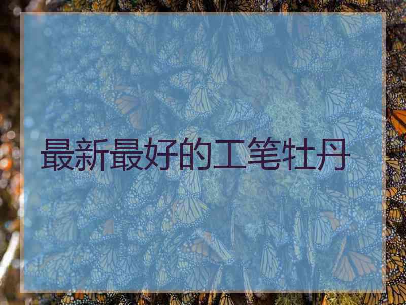 最新最好的工笔牡丹