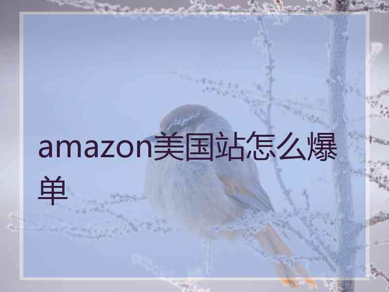 amazon美国站怎么爆单