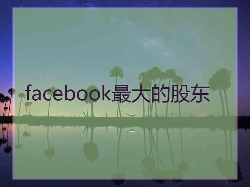 facebook最大的股东