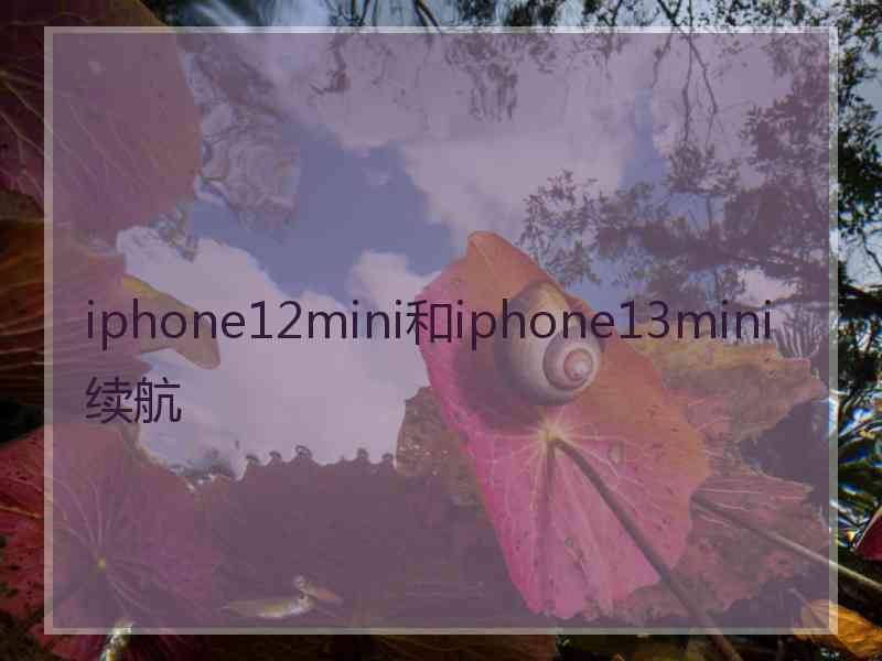 iphone12mini和iphone13mini续航