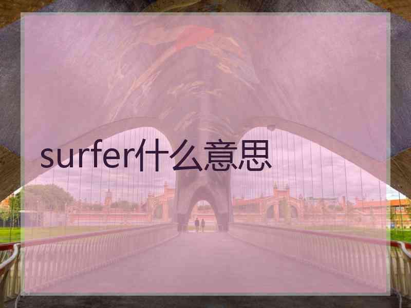 surfer什么意思