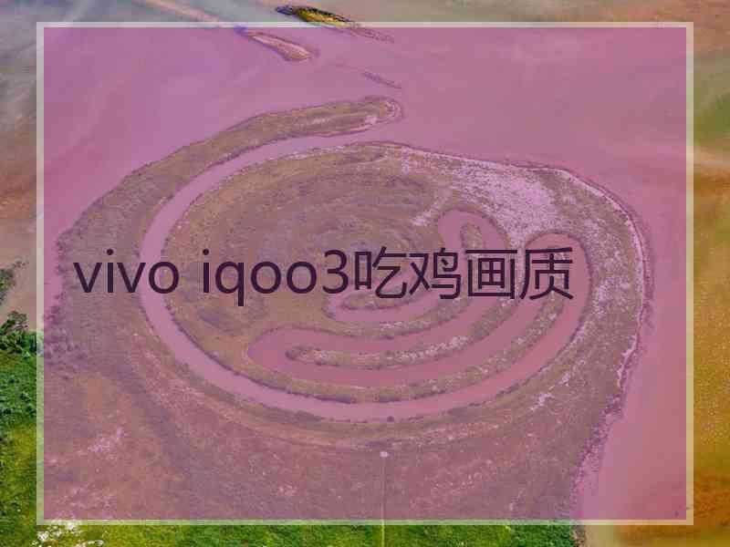 vivo iqoo3吃鸡画质