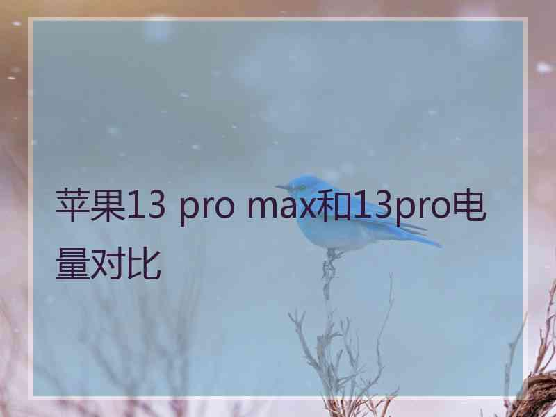 苹果13 pro max和13pro电量对比