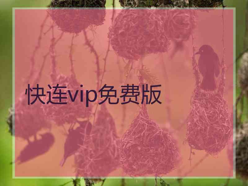 快连vip免费版