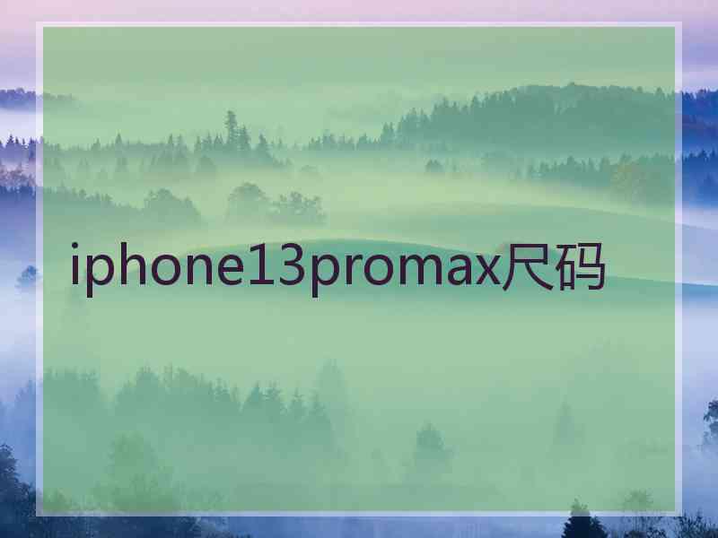 iphone13promax尺码