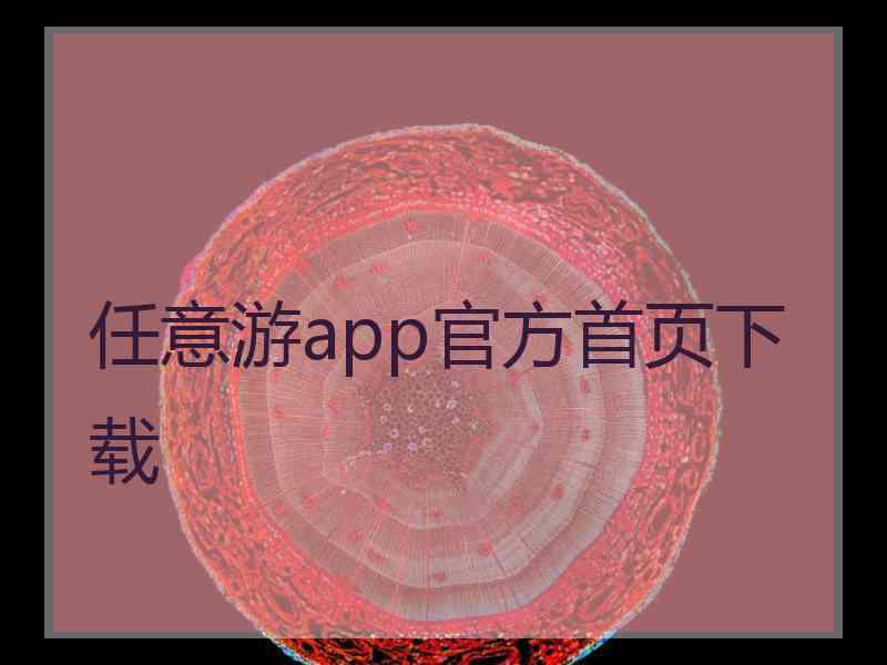 任意游app官方首页下载