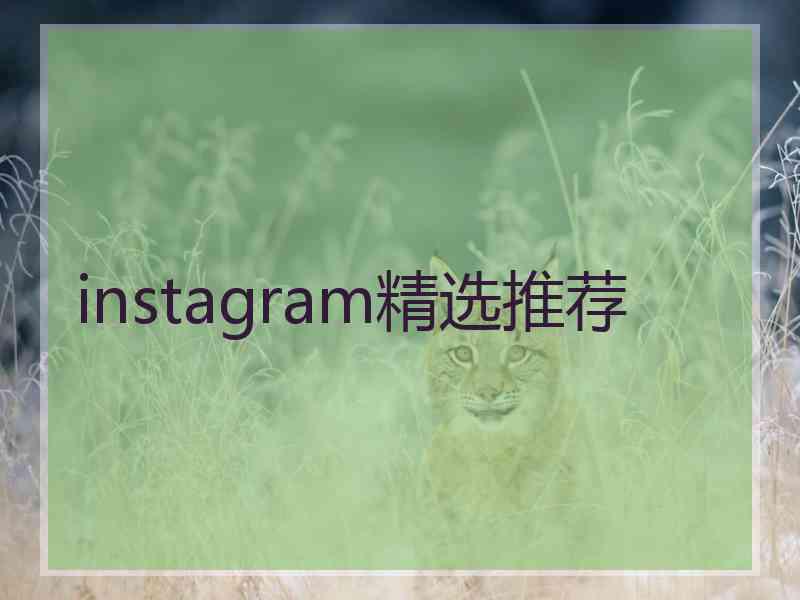 instagram精选推荐