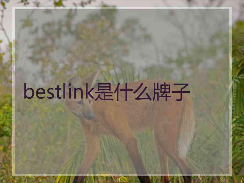 bestlink是什么牌子