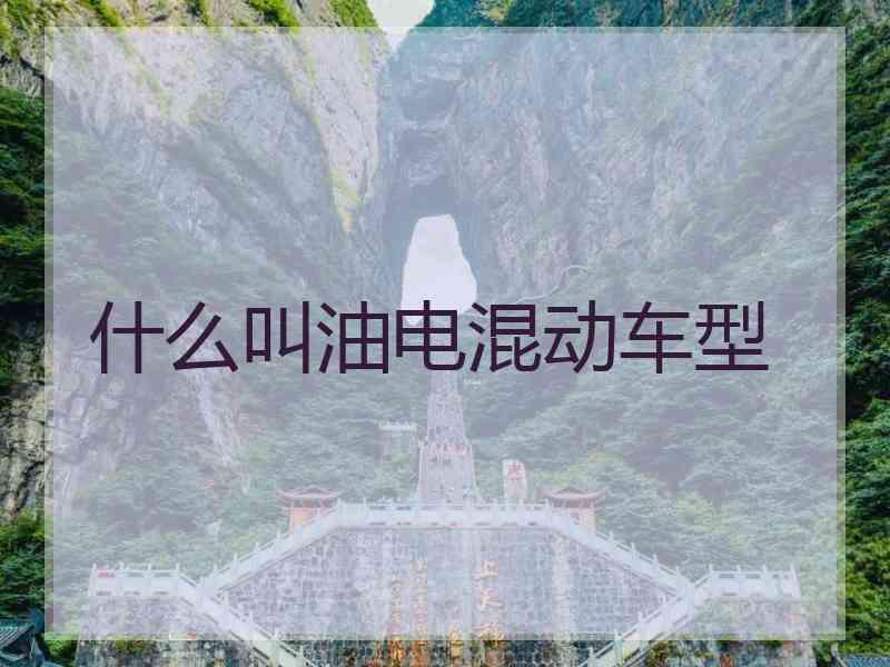 什么叫油电混动车型