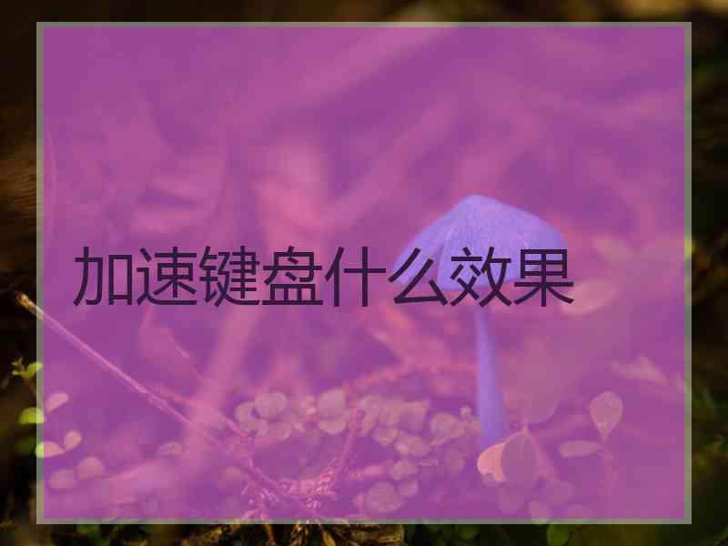 加速键盘什么效果