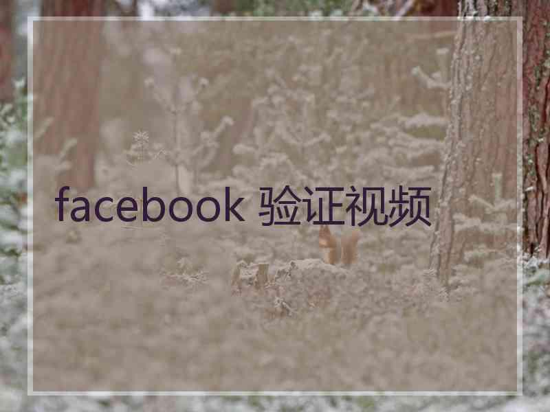 facebook 验证视频