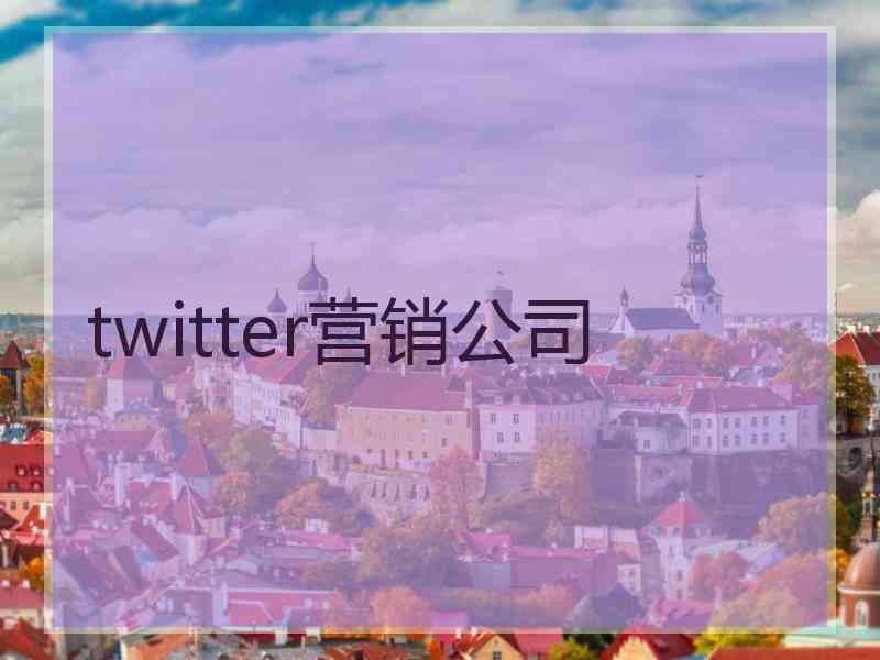 twitter营销公司