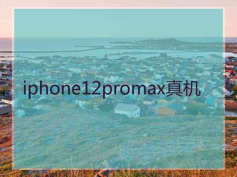 iphone12promax真机