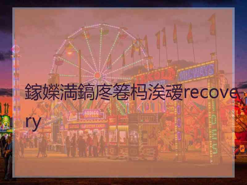 鎵嬫満鎬庝箞杩涘叆recovery