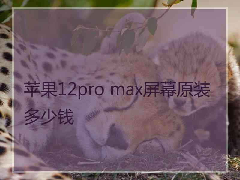 苹果12pro max屏幕原装多少钱