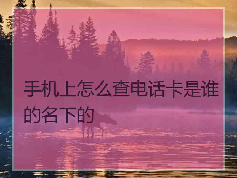 手机上怎么查电话卡是谁的名下的